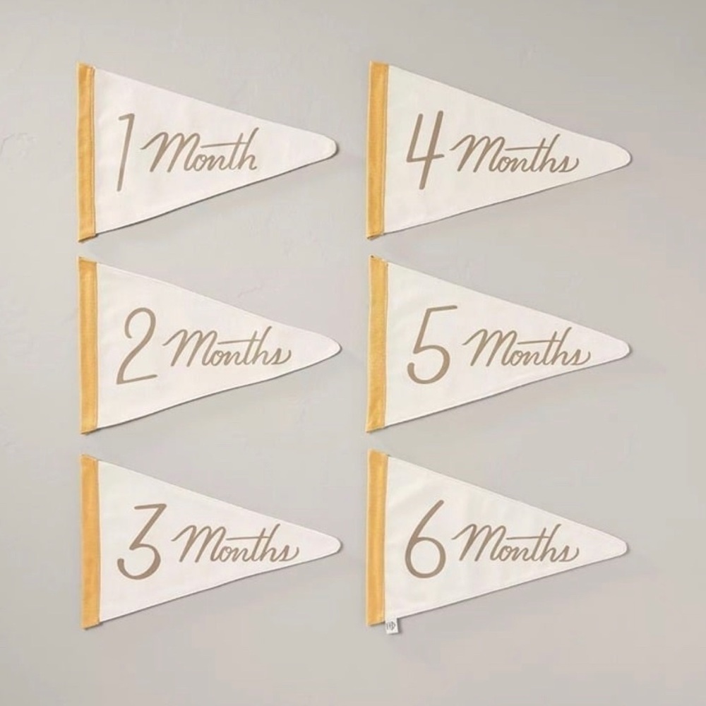 Newborn Milestone Pennants 6pc - Hearth & Hand™ with Magnolia